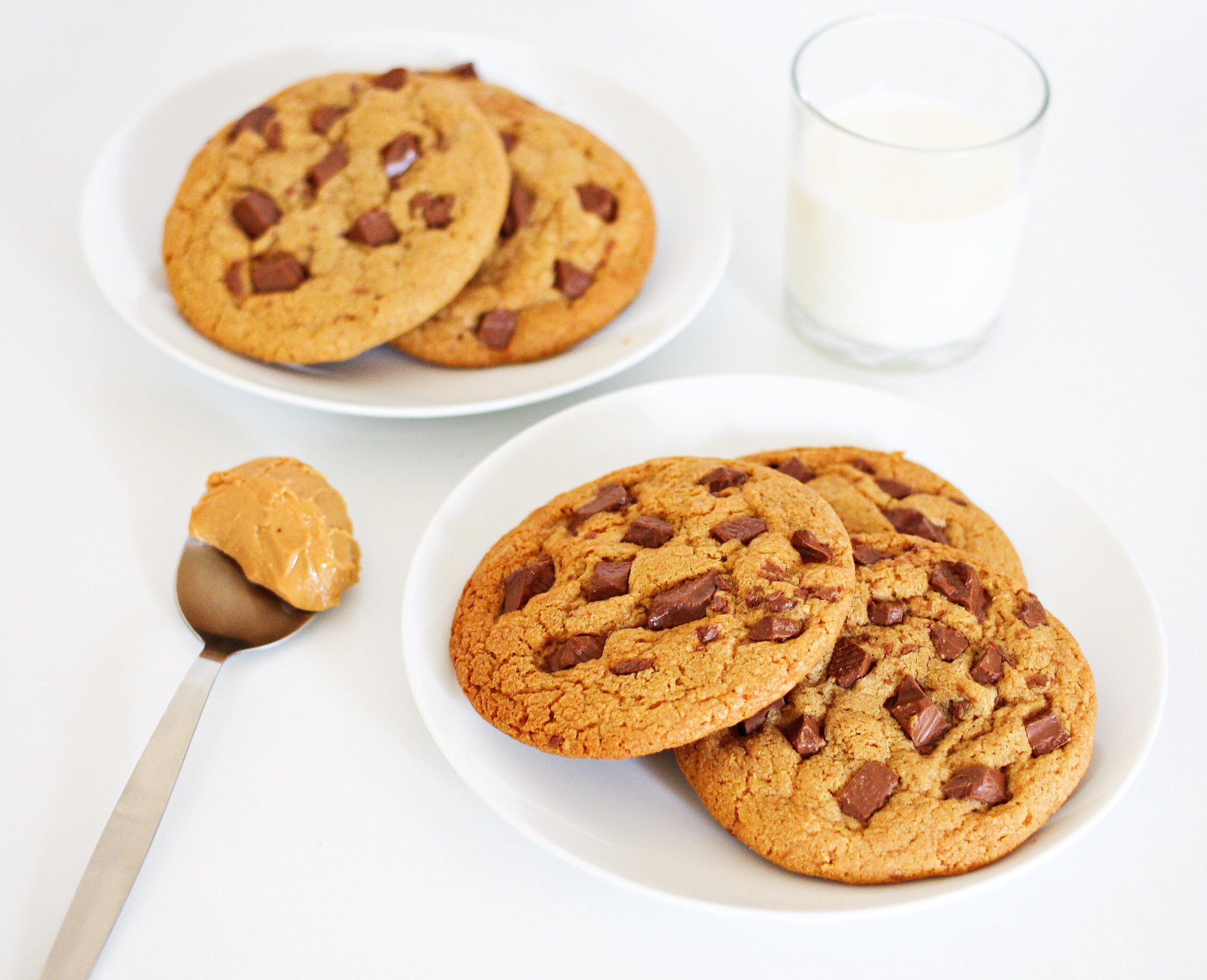 whey protein cookies recipe